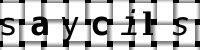 CAPTCHA image