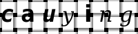 CAPTCHA image