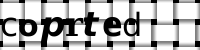 CAPTCHA image