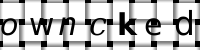 CAPTCHA image