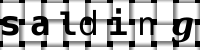CAPTCHA image