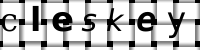 CAPTCHA image