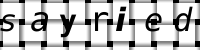 CAPTCHA image
