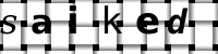 CAPTCHA image